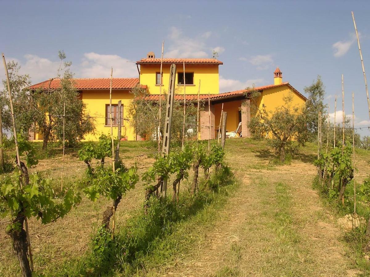 Villa In Campagna Costa Al Bagno Montopoli in Val d'Arno Eksteriør billede