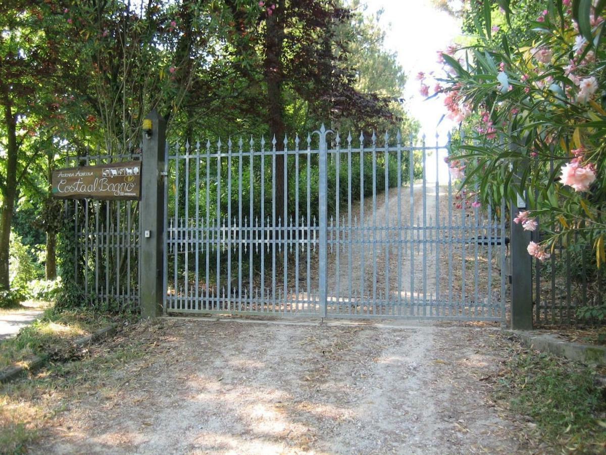 Villa In Campagna Costa Al Bagno Montopoli in Val d'Arno Eksteriør billede