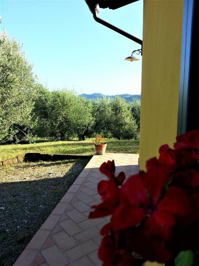 Villa In Campagna Costa Al Bagno Montopoli in Val d'Arno Eksteriør billede